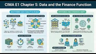 CIMA E1 Chapter 5 : Data and the Finance Function