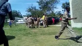School fight