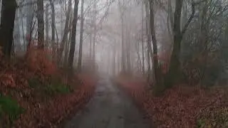 walking with empty thoughts