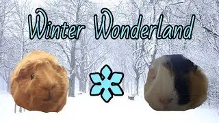 WINTER WONDERLAND | PIGMAS 2017