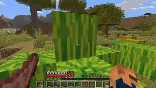 Epic Minecraft Saga #5