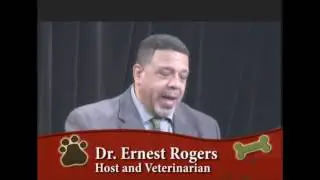 SOMA TV - You and Your Pets December 8, 2016