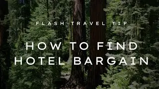 Flash Travel Tip: 7 Things Do To Get A FREE or CHEAP Hotel Bargain. Guaranteed!! EP2