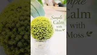 Simple calm with moss art 🌳💙🩷