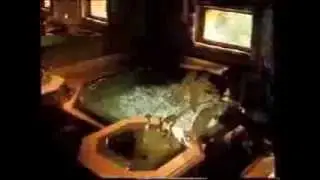 Ma prison dor&eacute;e...