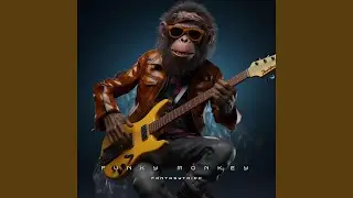 Funky Monkey