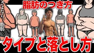 【脂肪のつき方別】最速で脂肪を落とす方法を解説します！