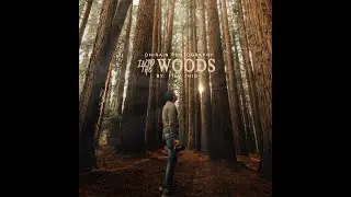 into the woods with Dhirain Photography | by Nomademic