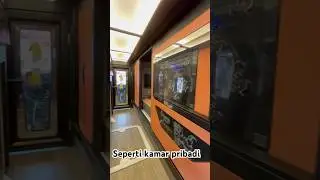 Mirip seperti kamar pribadi sleeper bus Mtrans tujuan Jakarta malang #busmewah #busmania #mtrans