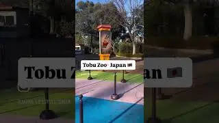 #japan #zoo #japanlife #minivlog #shortvideo #shortvideoformat #indian #bihari