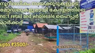 നായ്ക്കൂടുകൾ  വൻവിലകുറവിൽ സ്വന്തമാക്കാം..#pets #dog #doglovers#hiteccages #petcare #petlovers