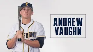 Cal Baseball: Andrew Vaughn
