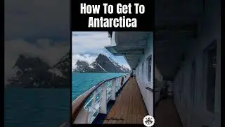 Antarctica Cruise Guide: The Ultimate Bucket-List Adventure