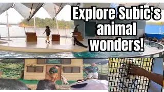Subic adventure II AnimaL wonders tourists spot