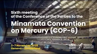Minamata Convention COP-6: Highlights and Key Messages