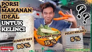 PORSI MAKANAN IDEAL UNTUK KELINCI #makanankelinci #pakankelinci #gasarabbits