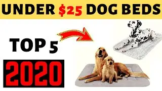 Affordable & Best Medium Dog Beds Under $25  | Medium Sized Dog Beds 2020.