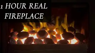 Relaxing 1950s REAL Coal Fireplace - 1 Hour