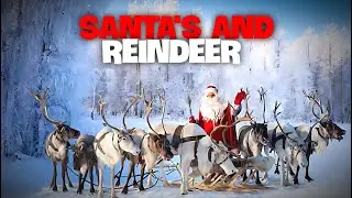 SANTA'S AND REINDEER ((MUSIC))_DJ MORTIX