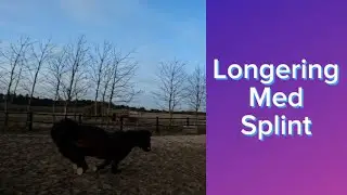 Longering med Splint