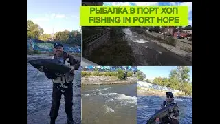 Рыбалка на Лосось в Порт Хоп , Fishing in Port Hope 2021