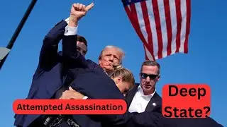 Deep State vs. Donald Trump: What Really Happened?