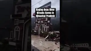 #Watch Himachal Flood Fury: Raging Beas River Wreaks Havoc #himachalpradesh #flood