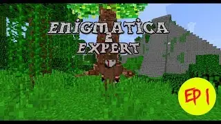 Minecraft: Enigmatica 2 Expert Ep 1