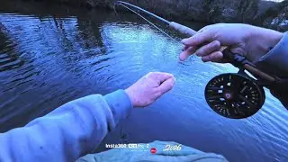 First fish of 2026 on our bonny River Clyde that resulted in a fight with the missus 