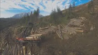 Woodex AG im Südtirol