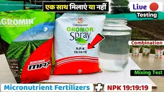 Chelated Micronutrient fertilizer + NPK 191919 | mixing testing Experimant | agriculture technology