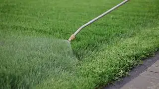 Weed Killer That Won&rsquo;t Kill Your Grass
