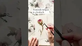 Tulipan francuski akwarelą w 5 krokach🎨 #malowanieakwarelami #ilustracjaakwarelowa #akwarele #art