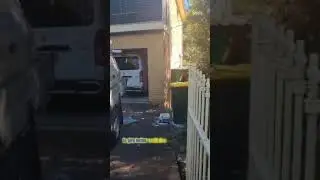 Pest detectives on the case 🕵️&zwj;♂️🐜 | Knock-Down Pest Control