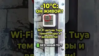 Честный обзор Wi-fi датчика температуры и влажности Tuya: работает на улице в мороз!