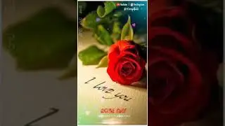 🌹Rose Day🌹| WhatsApp status video song in Tamil