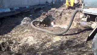 MOV00410