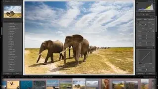 How to disable Auto update in Lightroom 5