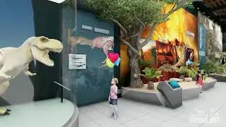 Dinosaur Museum Design - Ocean Art