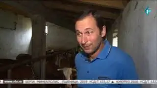 Farma Živanović u selu Jazak