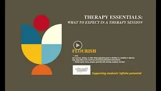 Therapy Essentials: What to expect in a therapy session