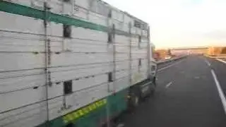 Scania 144 460 v Scania R580