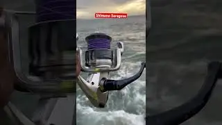 Shimano Saragosa Drag Sound 😍#shimano #saragosa #fishingreels #fishing #fishinggear #tuna #run