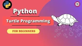 Python Turtle Tutorial | Python Turtle Design | Infoanil