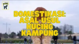 Domestikasi: Asal-usul Kucing Kampung