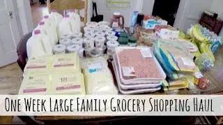 One Week Grocery Shopping Haul for Our Large Family | BIG FAMILY GROCERIES