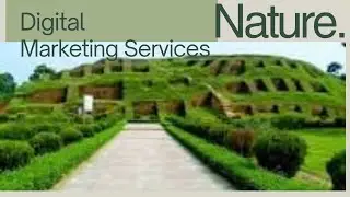 Nature Therapy for Mind & Soul