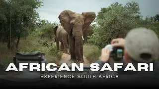 Virtual African Safari in Dulini Private Game Reserve, South Africa | RAW Wildlife Footage in 4K