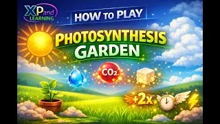 Photosynthesis Garden Tutorial — Full Gameplay Walkthrough | Photosynthesis & Respiration