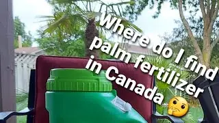 Where do I find palm fertilizer in Canada🤔